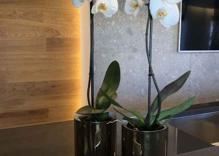 Bed & Breakfast Myhome 75 Premium Luxury